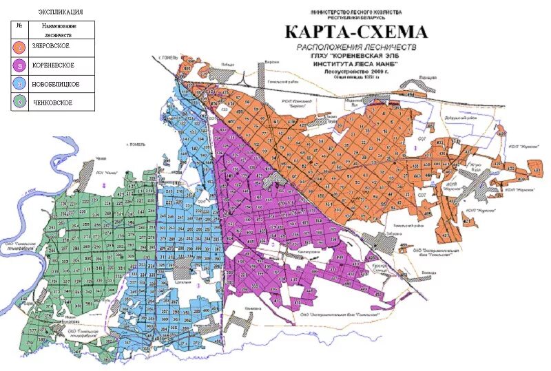 лесная база гомельский район. посадка саженцев в лесничествах. кореневское лесничество. кореневское лесничество. карта золотухинского района курской области с районами и деревнями.