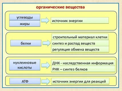 1 какие вещества являются органическими