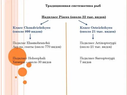 Систематический рыбы