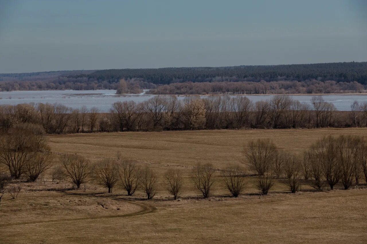 Уровень воды в реке угра. Разлив реки Жиздра в Калужской области. Протва река Калужская область 2023. Рекекаам Ока и Жиздра. Весеннее половодье в Калужской области.