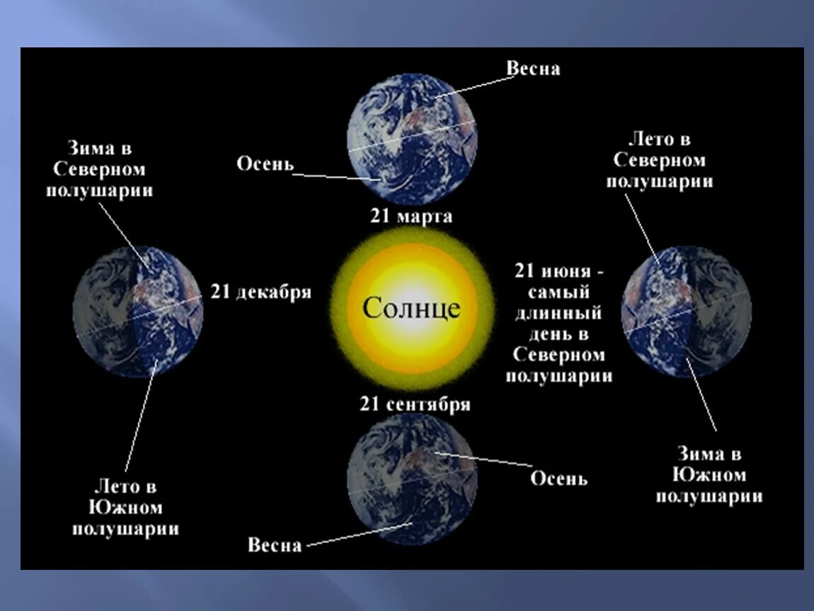 В северном полушарии проживает. Смена времен года схема. Смена времен года в Северном полушарии. Смена времен года в полушариях. Времена года в Северном и Южном полушарии.