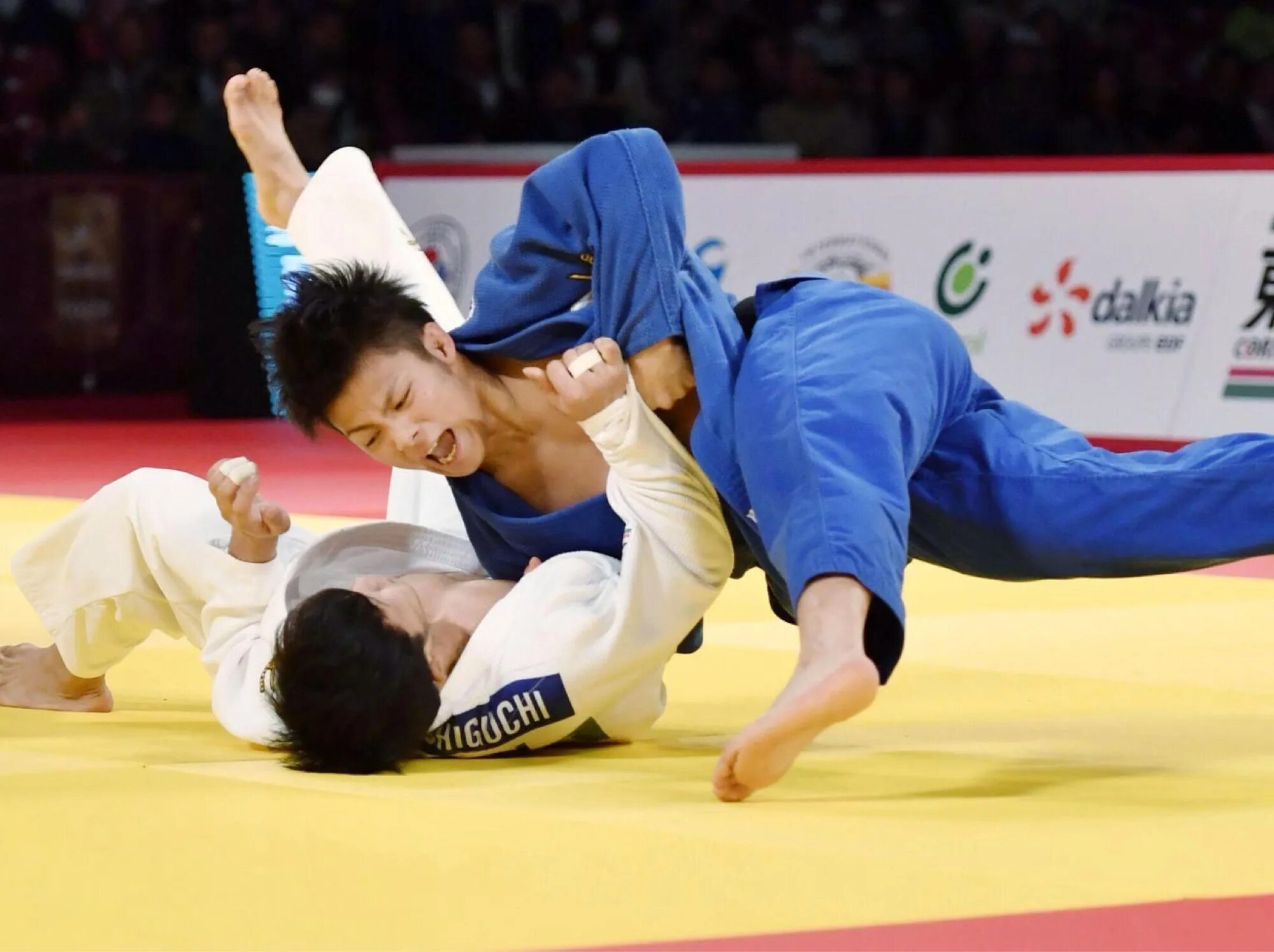 боевые искусства японии дзюдо. дзюдо красивые броски. такато дзюдо. дзюдо бросок. дзюдо бросок.