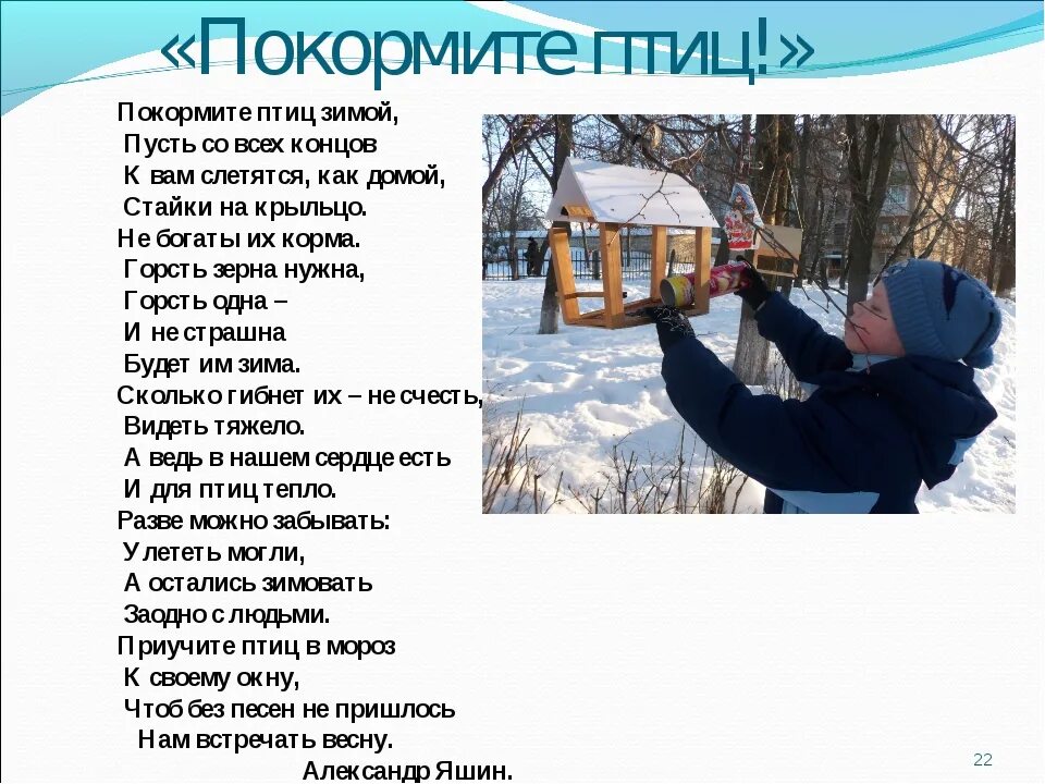 покормите птиц зимой стихотворение для детей. стихотворение яшина покормите птиц зимой. покормите птиц зимой стихотворение. стихи про птиц. покормите птиц зимой стихотворение.