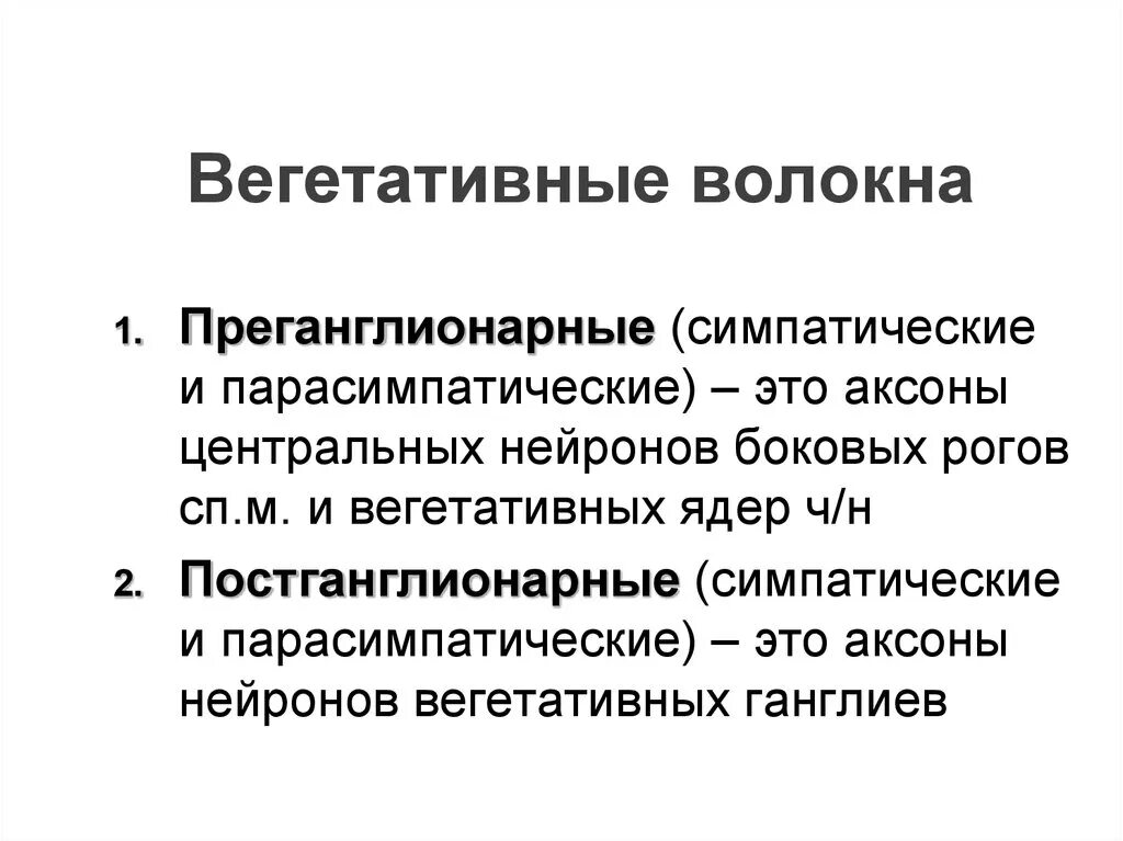 Преганглионарные и постганглионарные нервные волокна. Вегетативные волокна. Постганглионарные вегетативные волокна. Особенности вегетативных волокон. Вегетативным является ядром