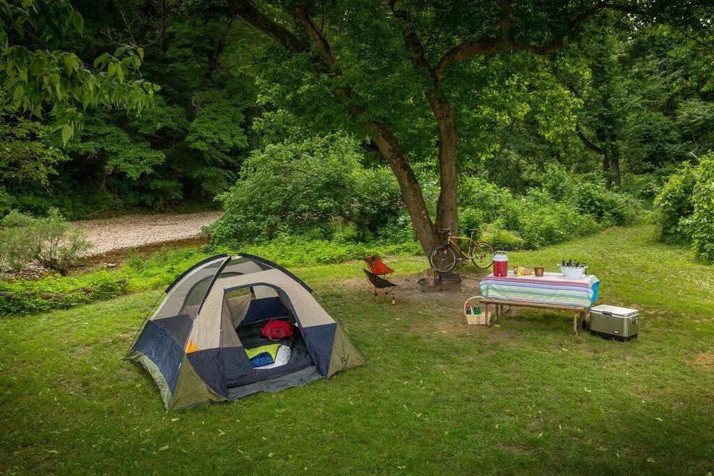 True camp. Кемпинг. Палатки для кемпинга. Идеи для кемпинга. Кемпинг на природе оригинальные идеи благоустройства.