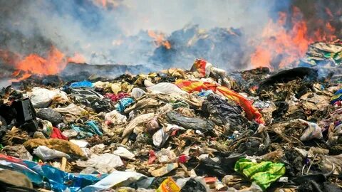 Environmental causes