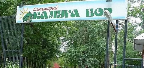 Калуга бор отзывы
