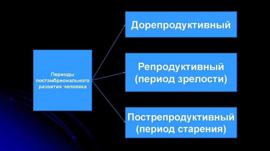 Этапы онтогенеза человека. Постэмбриональное развитие. Характеристика репродуктивного периода. Репродуктивный период онтогенеза. Периодизация онтогенеза человека.