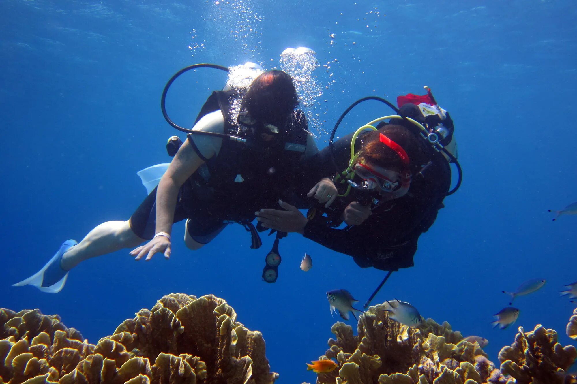 Скуба дайвинг. Дайвинг Scuba. Погружение с аквалангом. Акваланг для дайвинга.