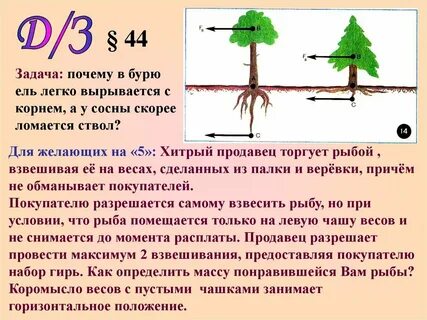 Как усилить воздух к корням