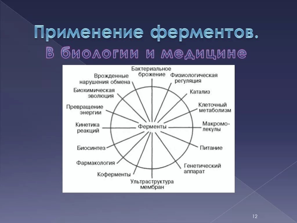 Биосинтез роль ферментов. Применение ферментов. Ферменты в медицине. Роль ферментов в медицине. Применение ферментов в биологии.