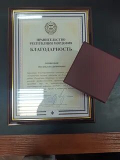 Благодарность правительства