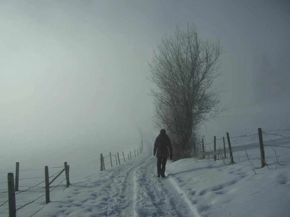Замерзший путник