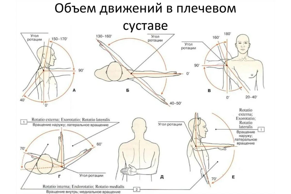 Максимальные движения суставов. Оси движения плечевого сустава. Нормативы объема движений плечевого сустава. Объем движений в суставах верхней конечности. Плечевой сустав сгибание разгибание отведение.