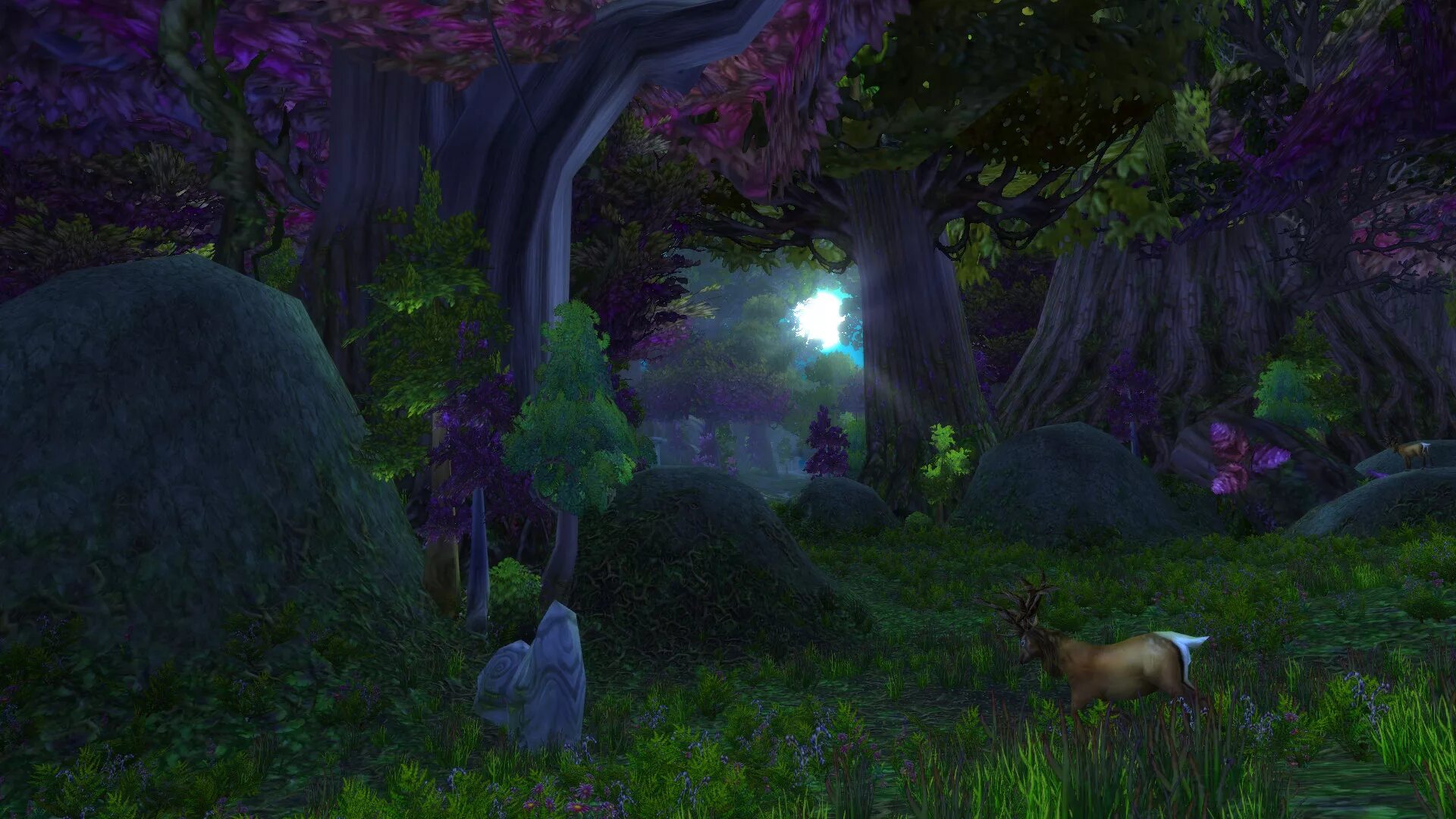 Варкрафт ясеневый лес. Ясеневый. Ясеневый. Ясеневый лес волк варкрафт. Варкрафт ашенвальский лес.