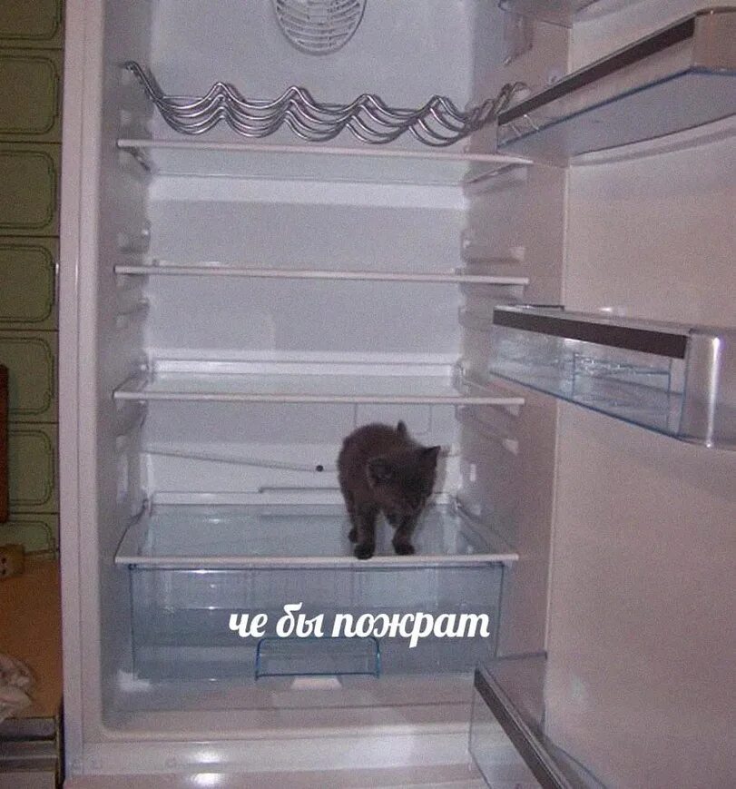 Холодильника нету