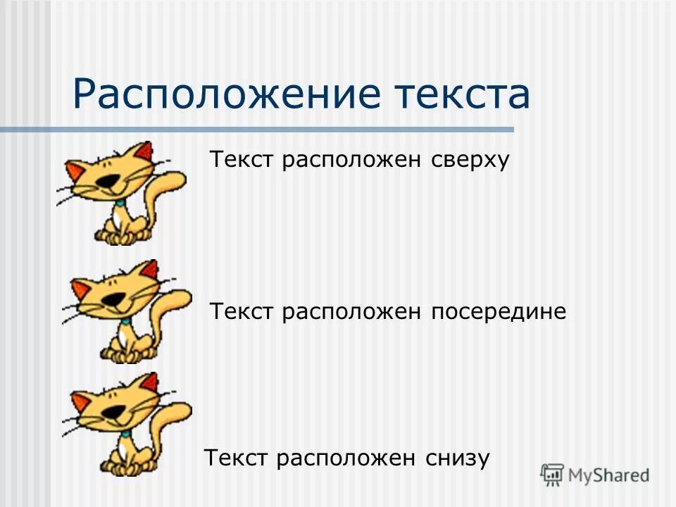 По середине располагаются. Внутренние органы справа под ребрами. Правда посередине. По середине располагаются. По середине располагаются.