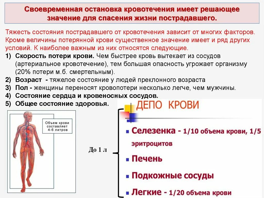 Объем крови в теле человека.