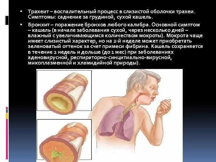 Трахеобронхит лечение у взрослых с кашлем. Ларингит трахеит бронхит. Острый ларингит острый бронхит. Трахеит острый симптомы болезни. Трахеит болезнь симптомы.