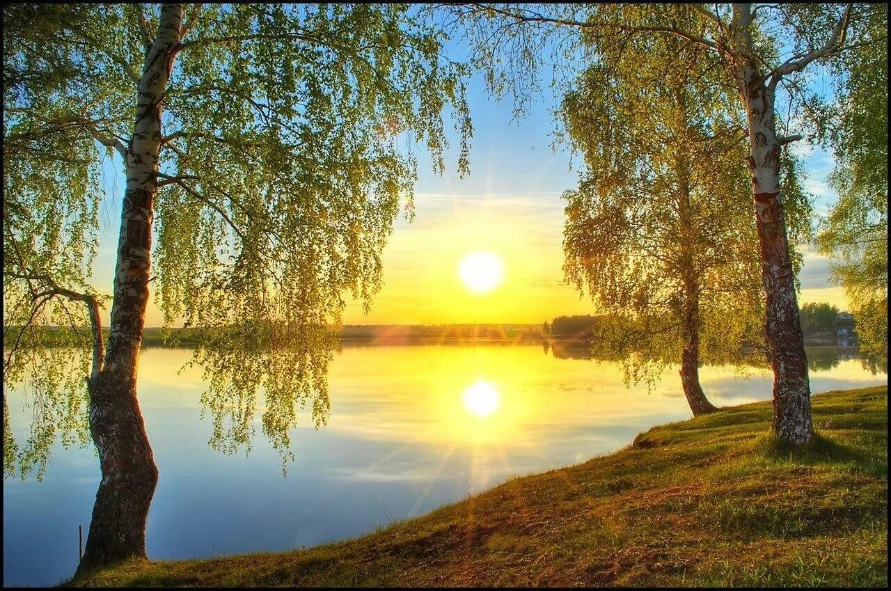 Фото солнце россия. Солнечный день. Река солнце. Рассвет березы. Природа березы.