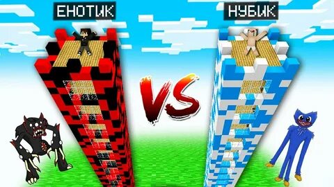 Видео енота и нубика