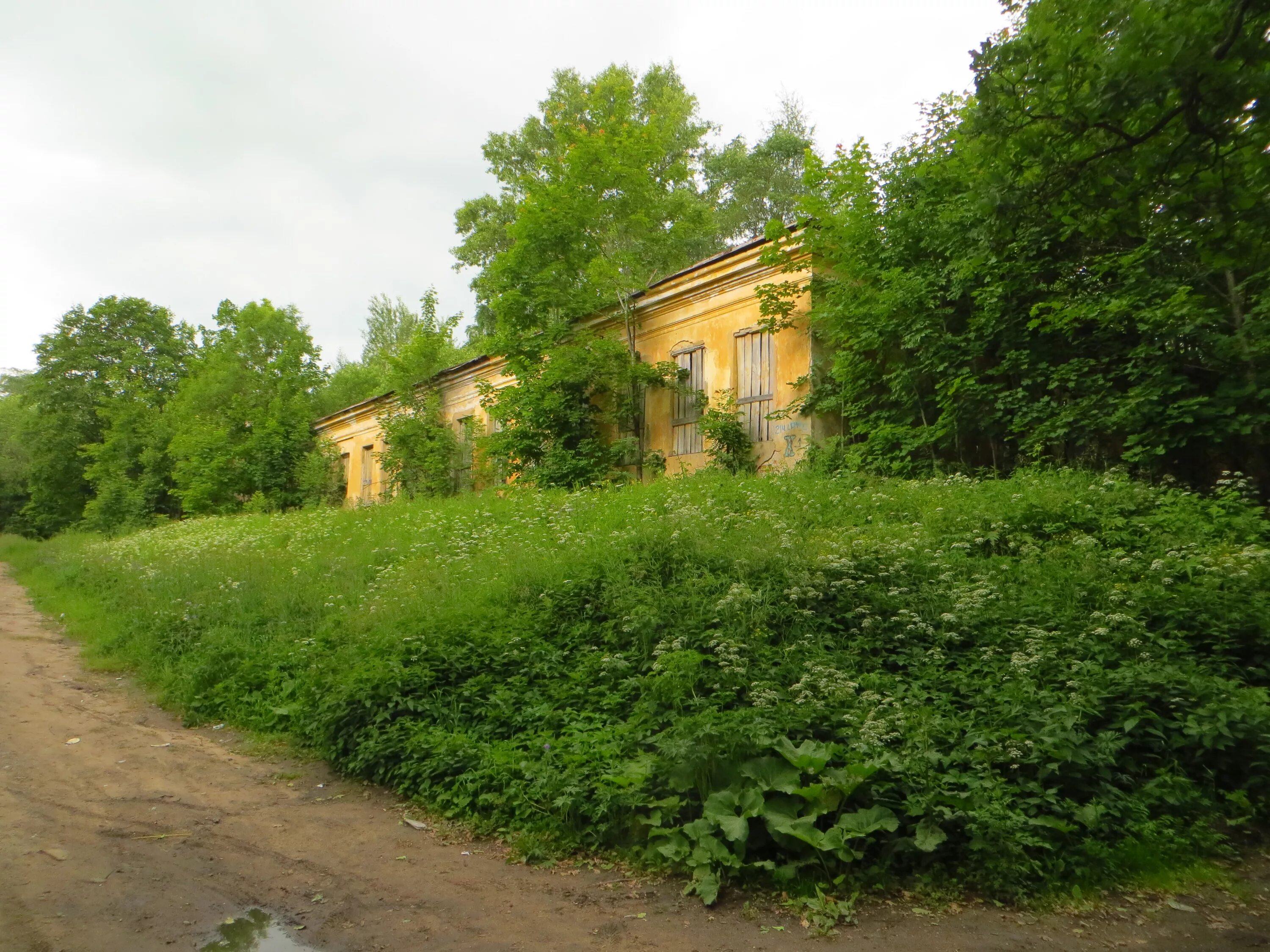 Ропшинский парк и дворец. Парк Ропша. Санкт Петербург Ломоносовский район. Ропша. Ропшинский парк Ломоносовский район.