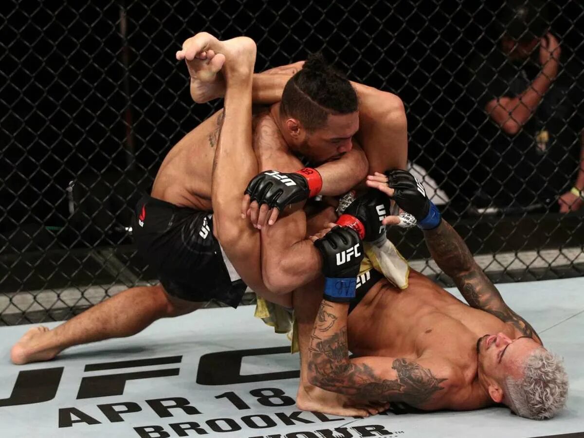 боец мма петр ян. смешанные единоборства видео. смешанные единоборства иван штырков 2019. мир без правил. гамрот боец юфс.