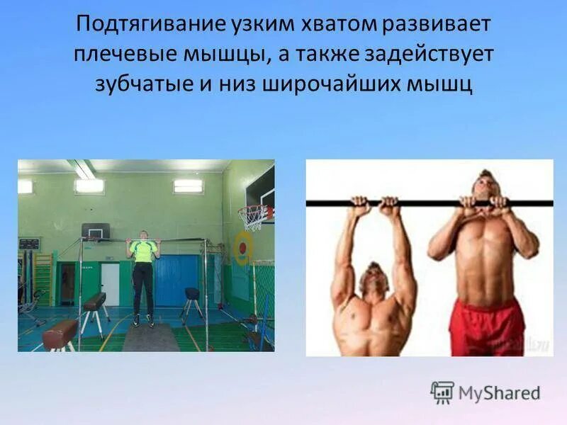 Подтягивание узким хватом мышцы. Средний хват снизу подтягивания. Подтягивания узким прямым хватом. Подтягивания узким хватом. Подтягивания узким хватом мышцы.