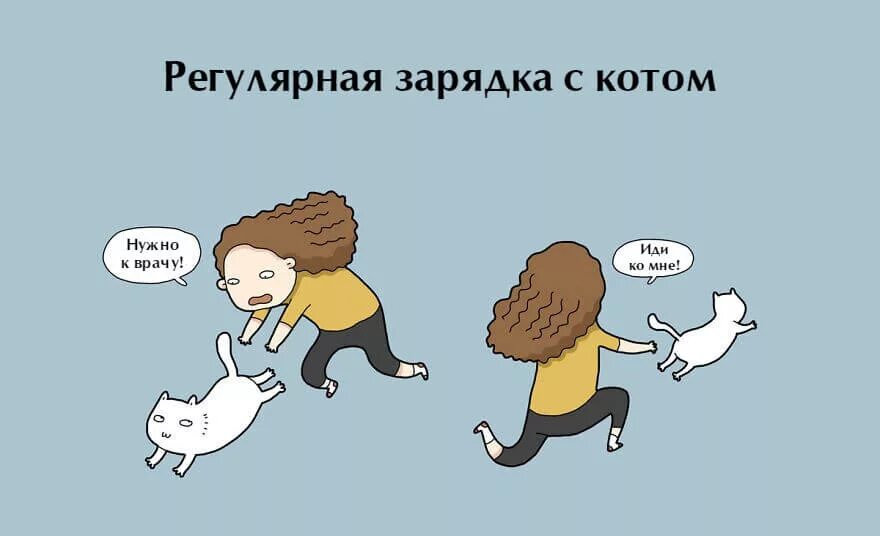 Стань котиком