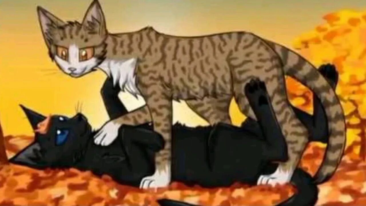 Грач и ласточка. Коты воители листвичка. коты воители листвичка и грач. коты воители грач и сумеречница и листвичка. коты воители грач и сумеречница.