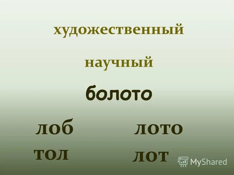 Болота классификация болот. Болото для детей. Что такое болото своими словами. Доклад про болото. Болото задания.