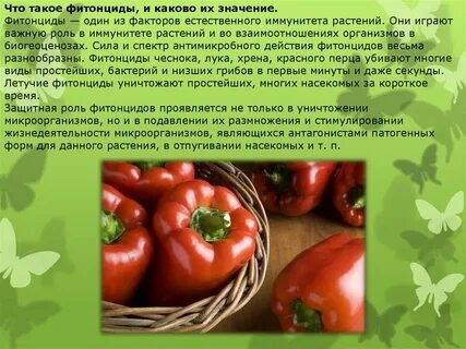 Фитонциды что это