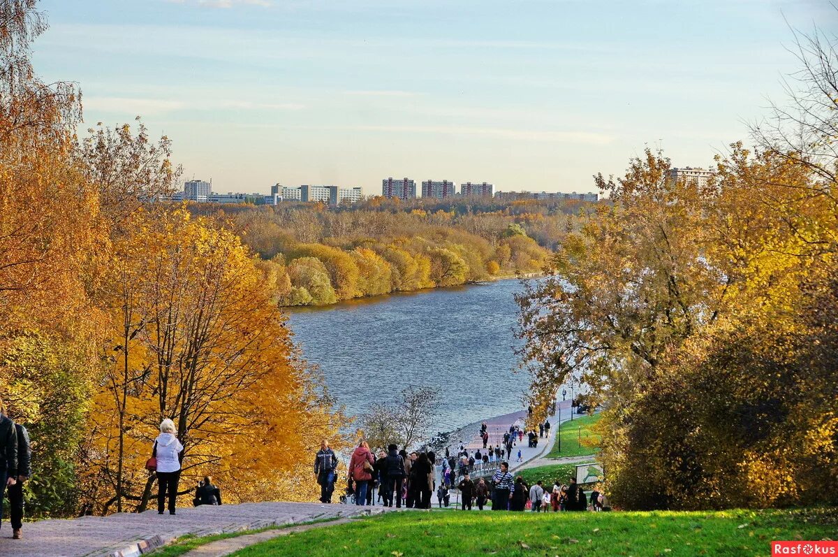 События осени москва. Парк Коломенское осень. Коломенский парк в Москве. Коломенское осенью. Москва Коломенское осень.