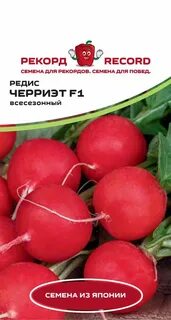Редис черриэт описание