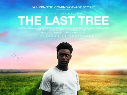 Last trees