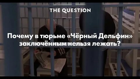 Пожизненно черный дельфин