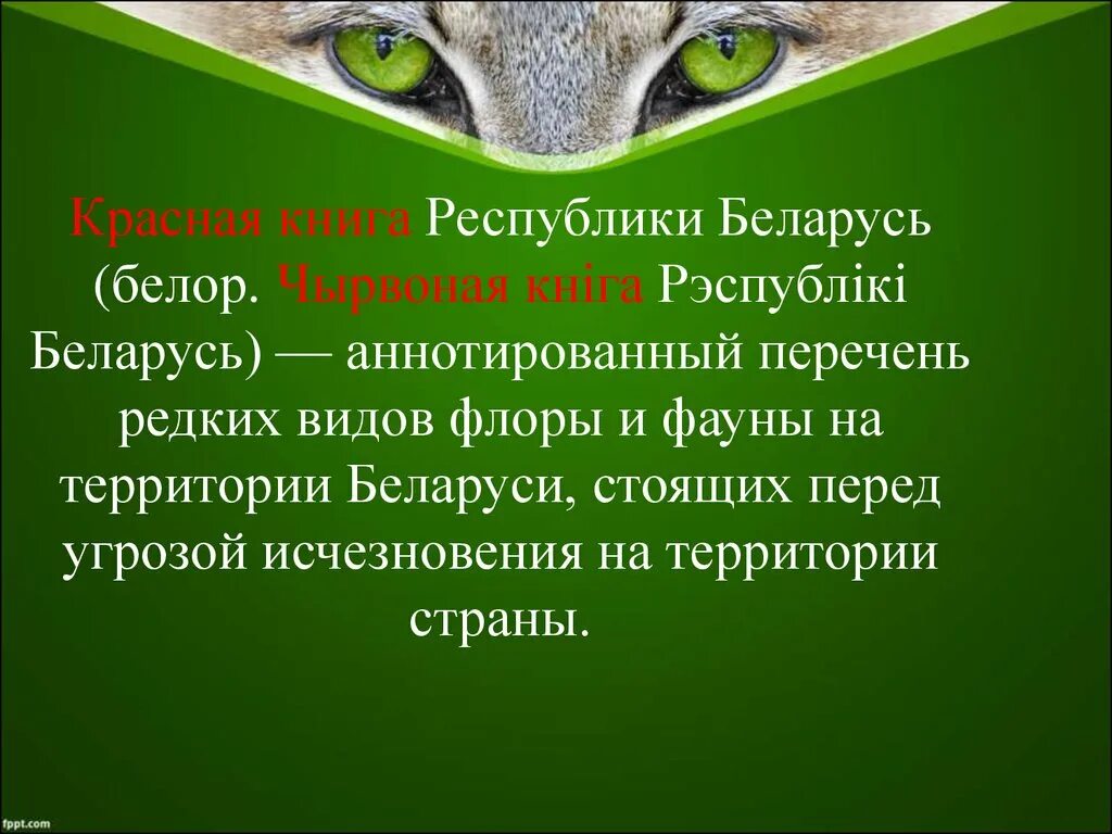 Красная книга республики беларусь животные