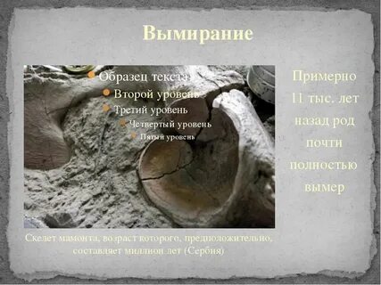 Назад род
