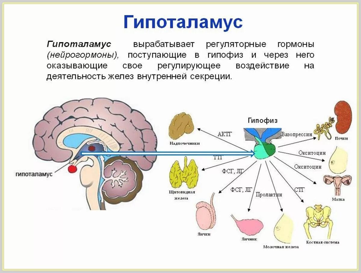 Процессы которые непосредственно связаны с