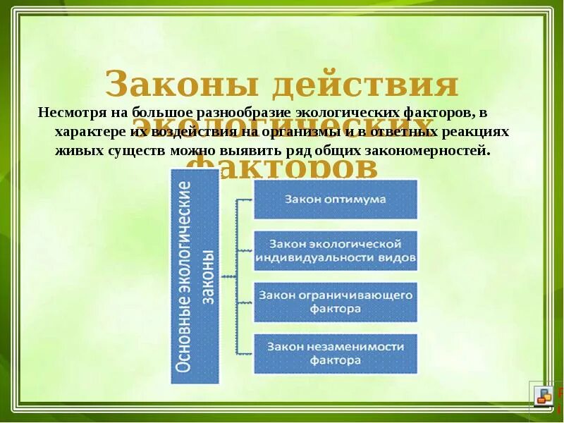 Закон экологического воздействия. Экологические факторы. Закономерности экологии. Факторы среды на организм. Законы действия факторов.