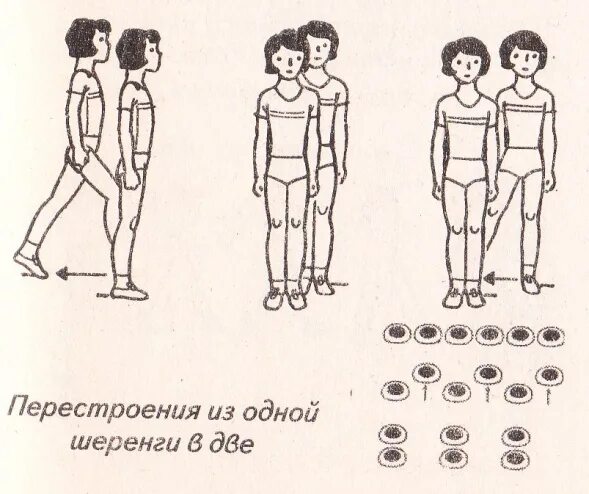 Перестроение в 2 шеренги. Перестроение в круг из шеренги. Схема построения в две шеренги. Перестроение в две шеренги схема.