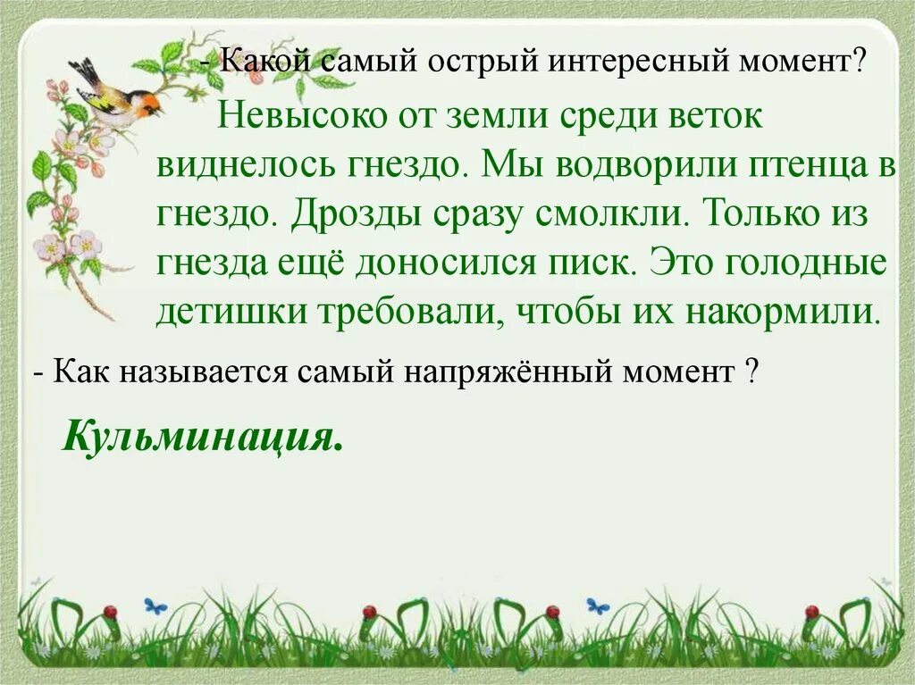 Помощь дроздам. Изложения про дрозда. изложение о птенцах дрозда. изложение спасение птенцов дрозда 4 класс. помощь птенцам изложение.
