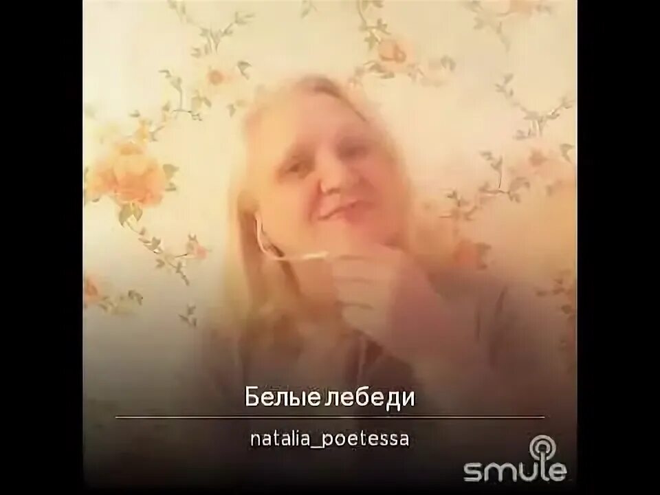 Сильная смелая как лебедь белая кто поет. А белый лебедь на пруду текст. Лебеди разных цветов. Слова песни лебедь белая. Сильная смелая как лебедь.