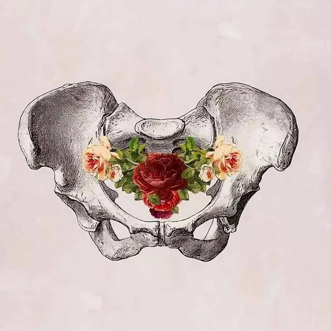 Плоскость узкой части полости малого таза. Узкий женский таз. Аномалии костей таза акушерство. Женский таз размеры сбоку. Строение таза сбоку.