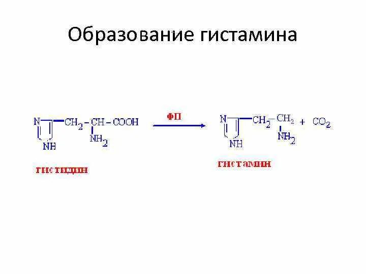 Схему реакции образования гистамина. Синтез гистамина. Гистамин биохимия. Механизм образования гистамина.