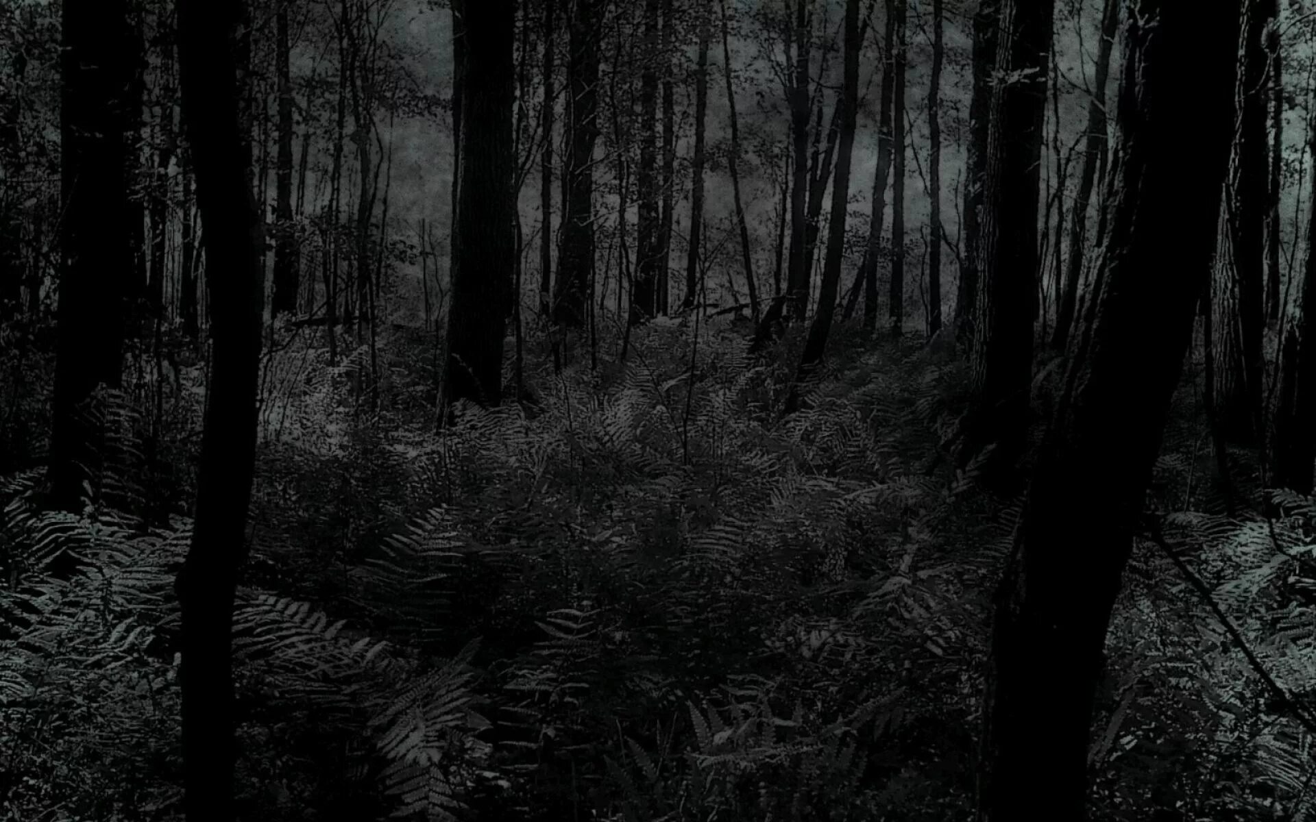 Dark disillusion