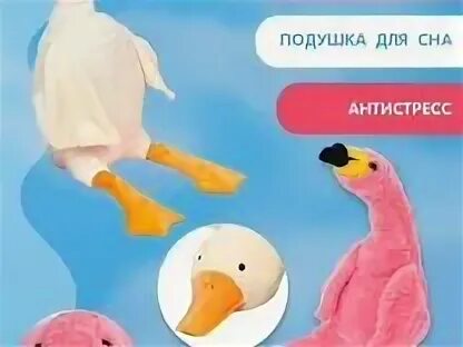 Вайлдберриз гусь