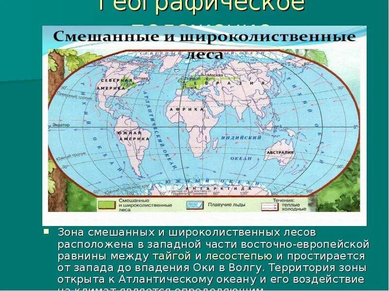 Смешанные леса местоположение. Зона смешанных и широколиственных лесов географическое положение. Расположение смешанных и широколиственных лесов в России. Смешанные и широколиственные леса географическое положение. Смешанные леса географическое положение.