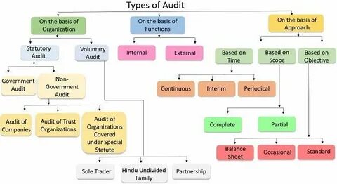 Audit types