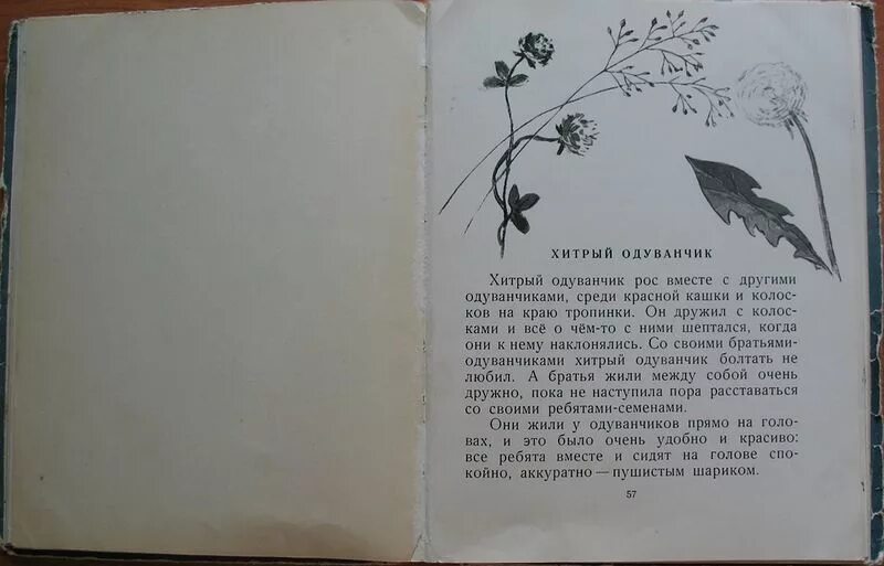 Одуванчик и дождь сладков читать. Книги нины павловой живая бусинка. хитрый одуванчик сладков.